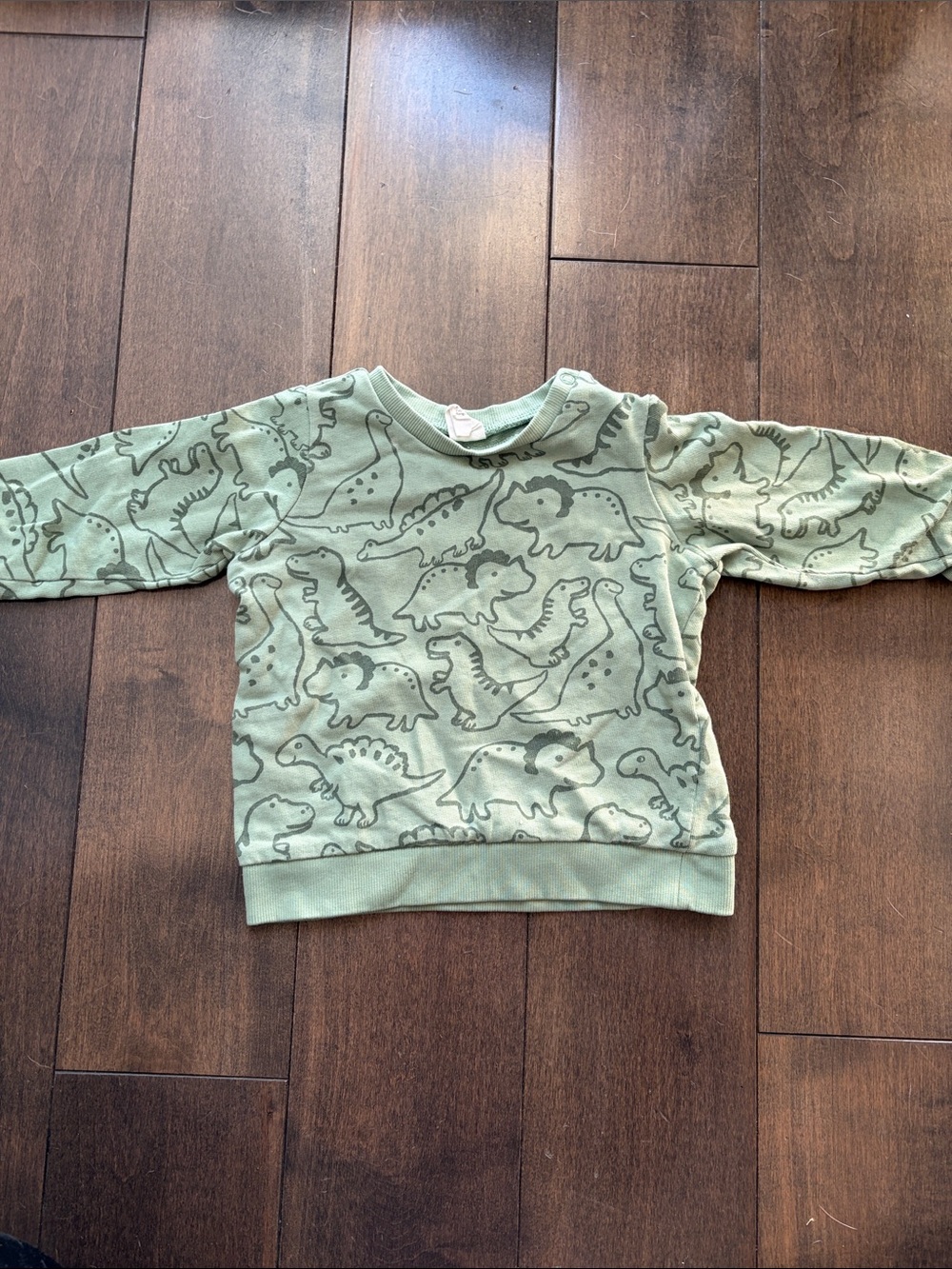 H&M Mint Green Dinosaur Crewneck Sweatshirt